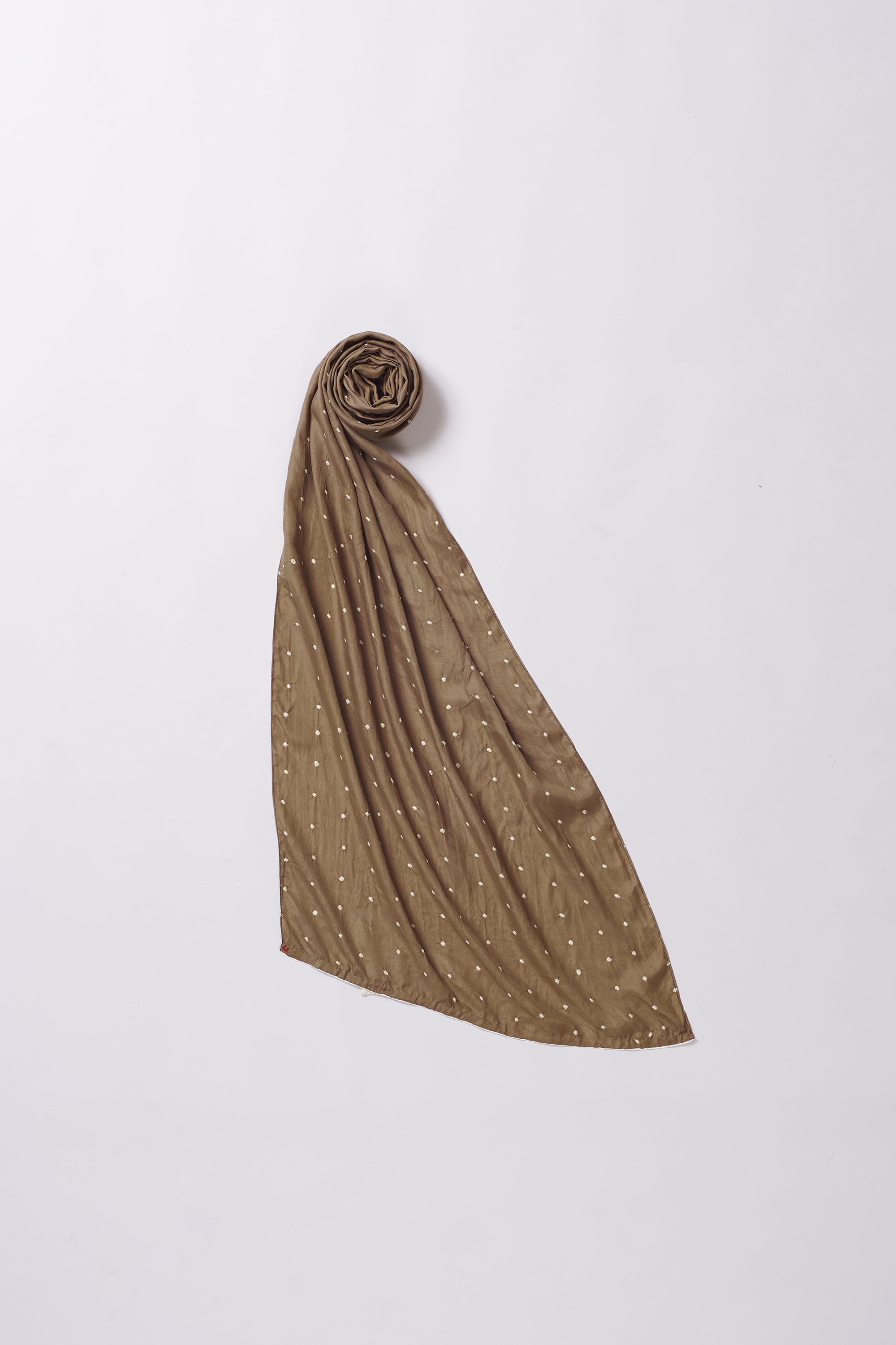 ORANGE RUST SILK WITH BANDHANI SCARF