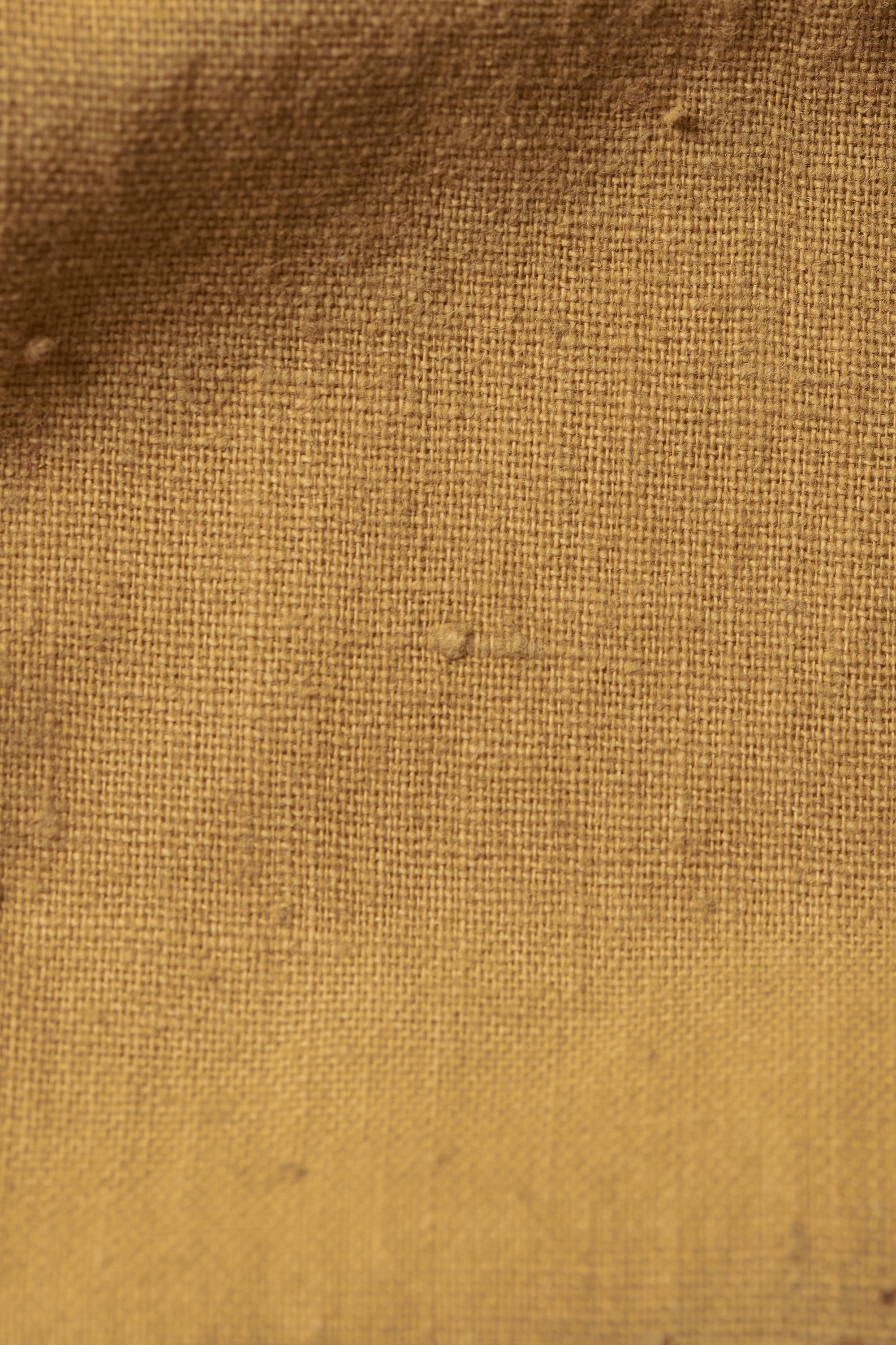 MUSTARD YELLOW BANDANA