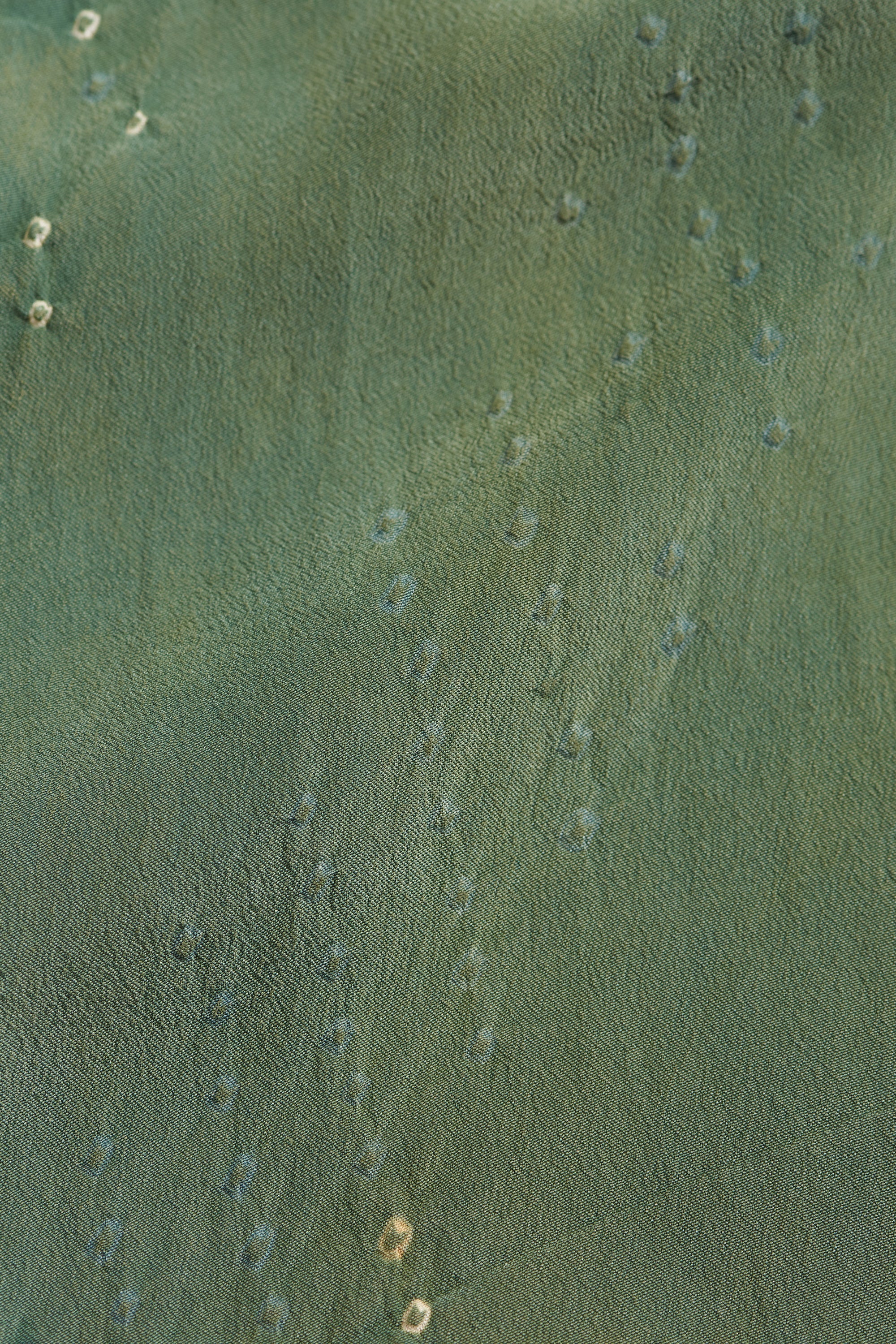 Close-up of a textured green surface