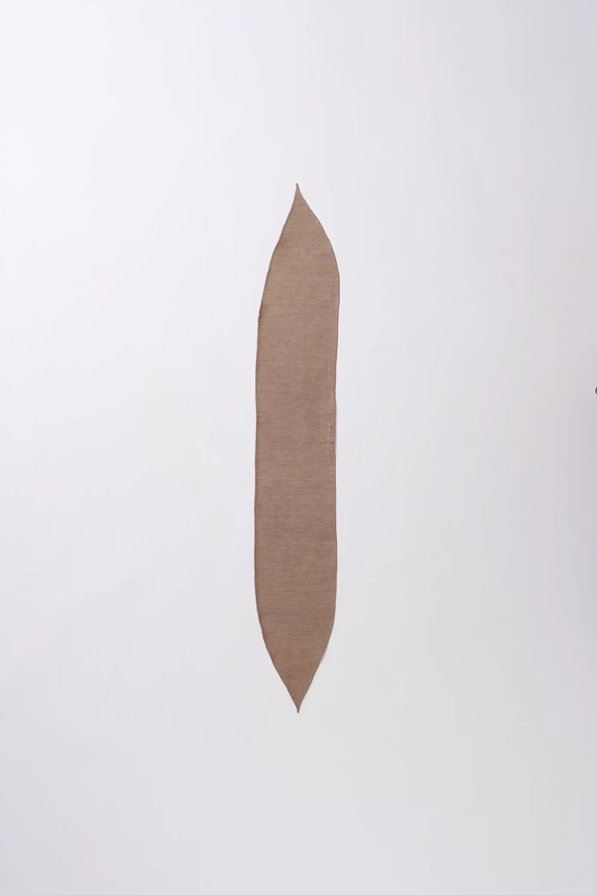 Cotton bandana in tree trunk