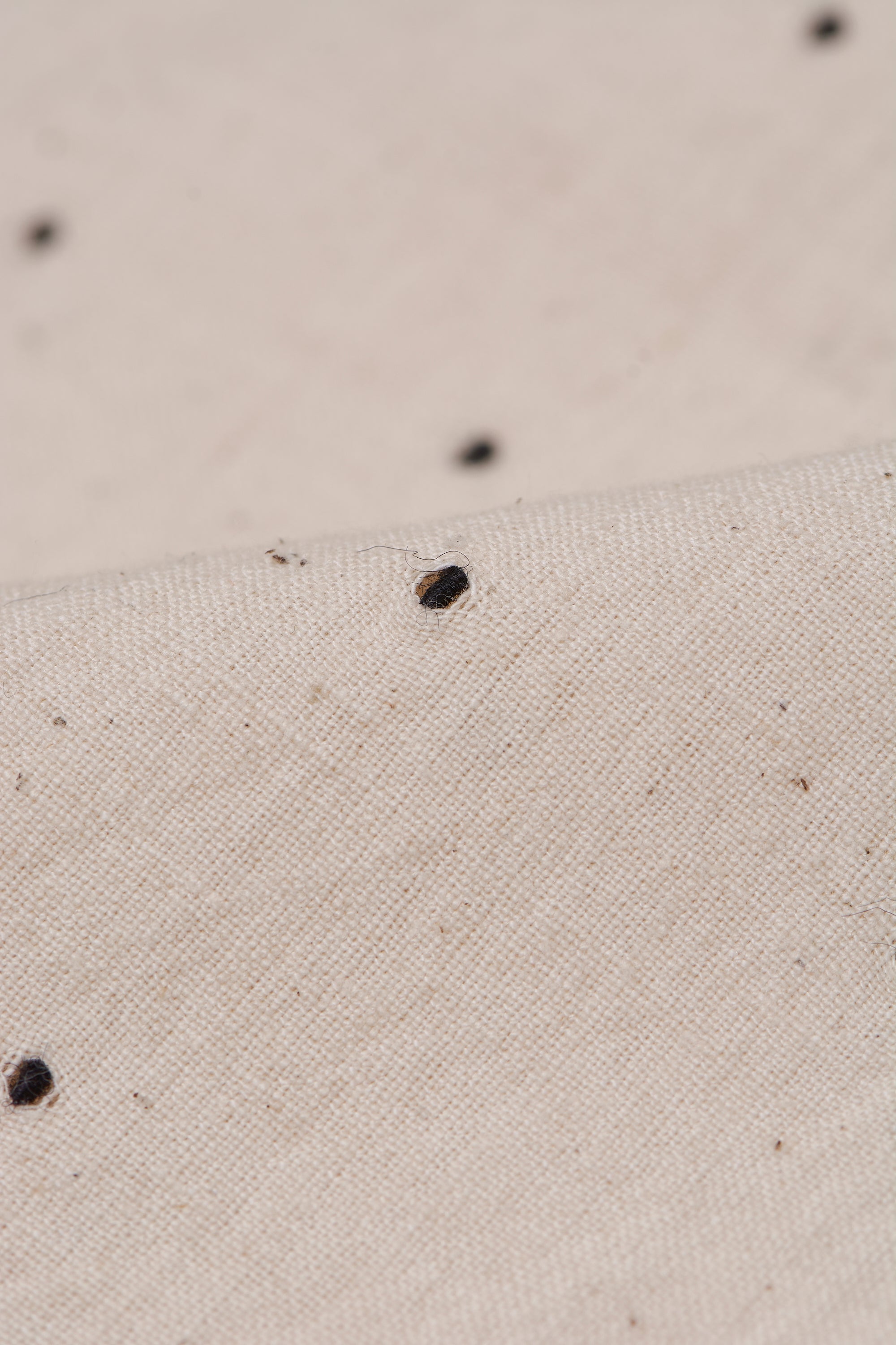 Ecru Fine Cotton Tangaliya Unisex Shirt