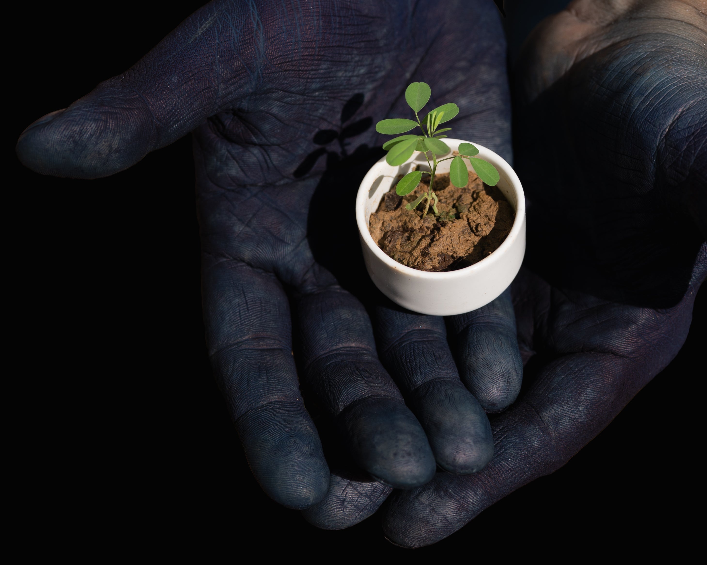 The Art and Science of Indigo