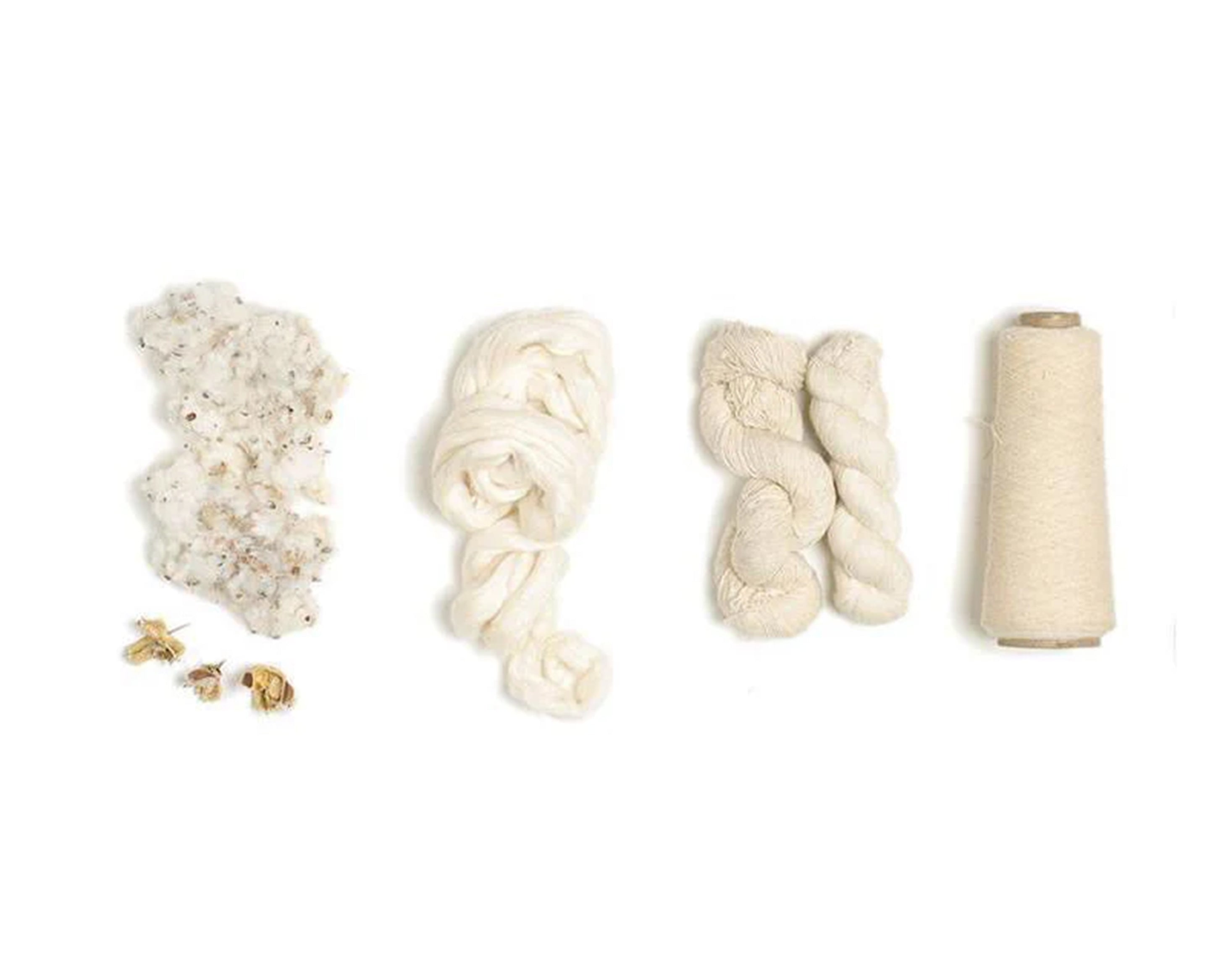 White Gold: The Story of Cotton in India