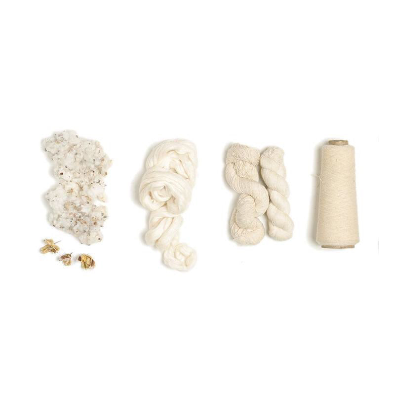 White Gold: The Story of Cotton in India