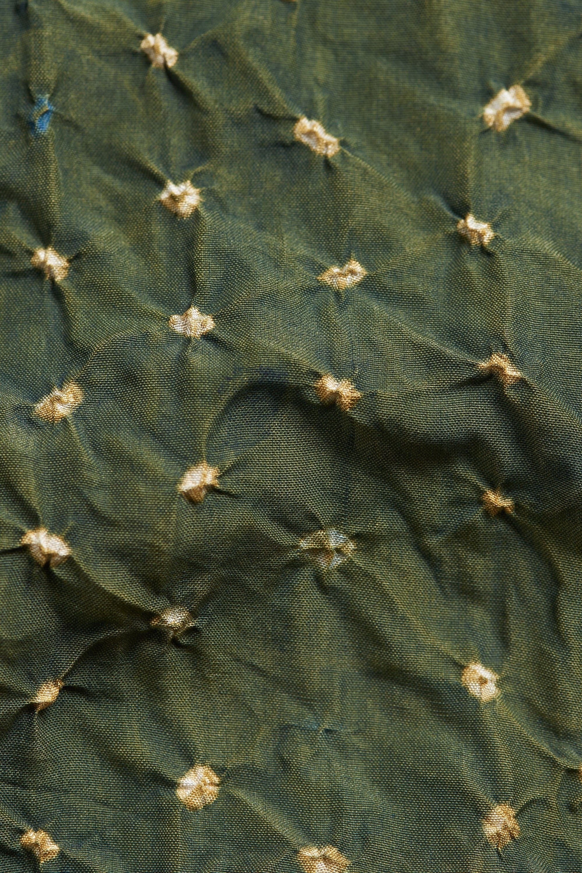 Close-up of a green cactus