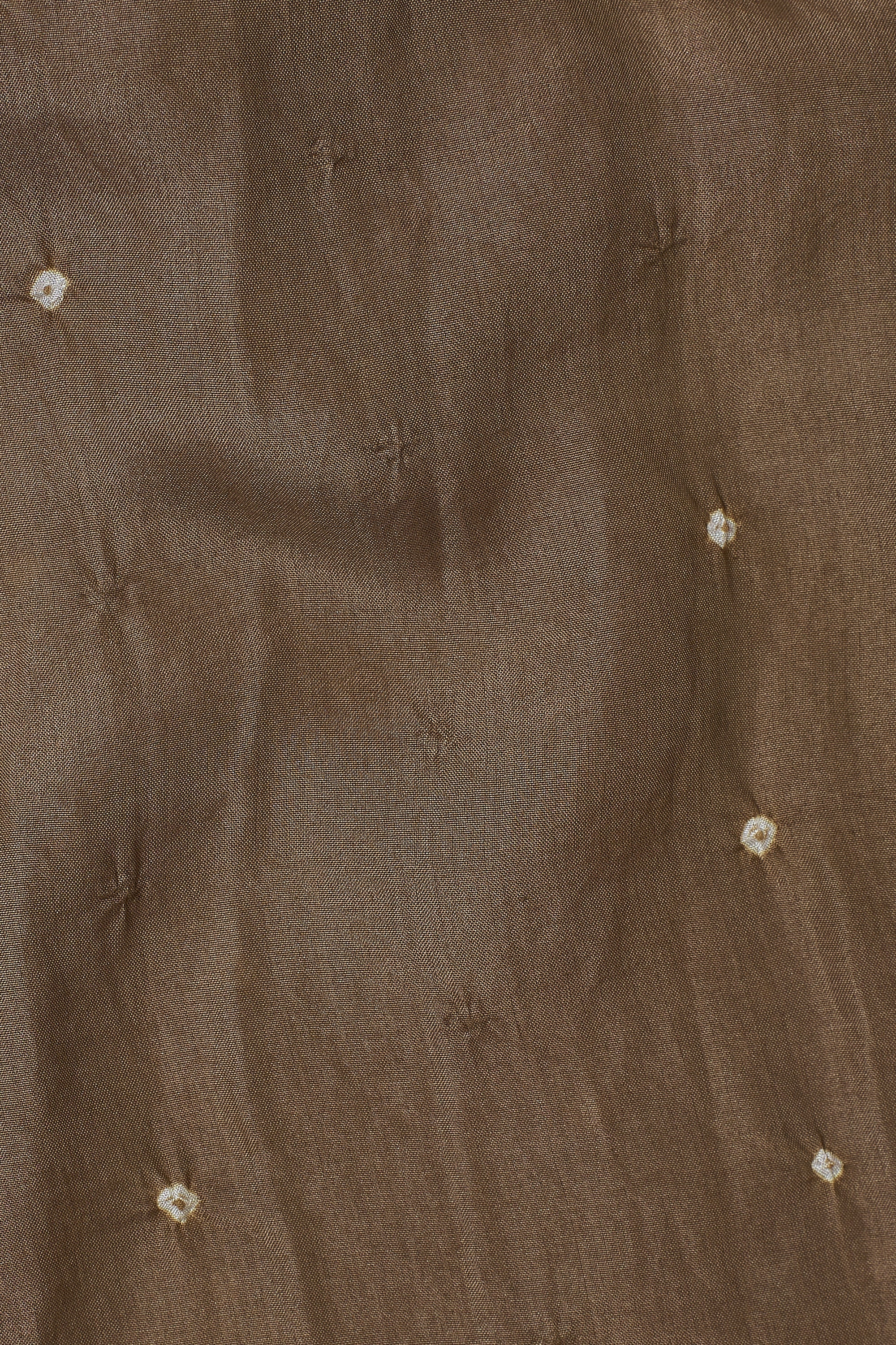 RUST SILK WITH BANDHANI SCARF