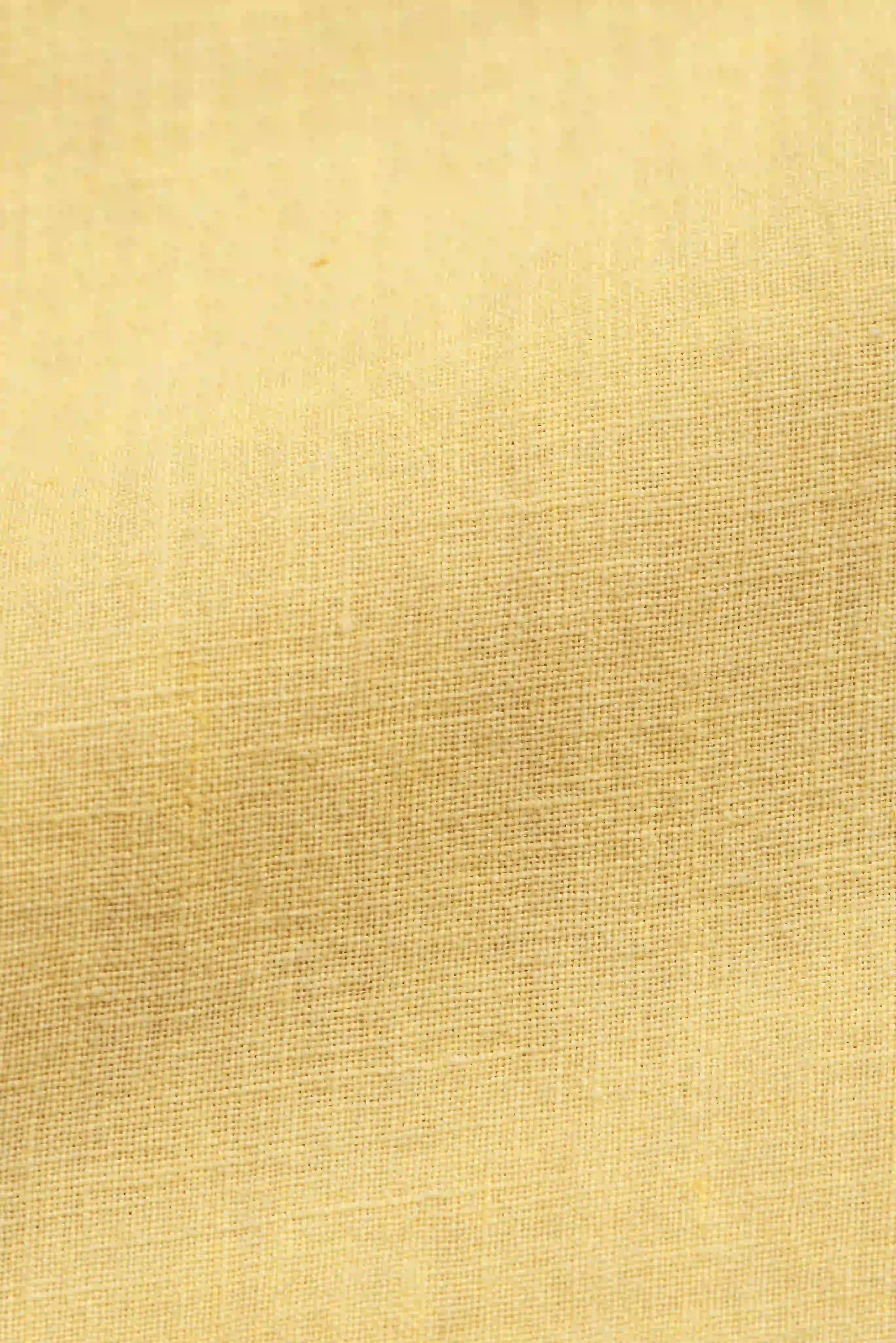 Close-up of a fabric