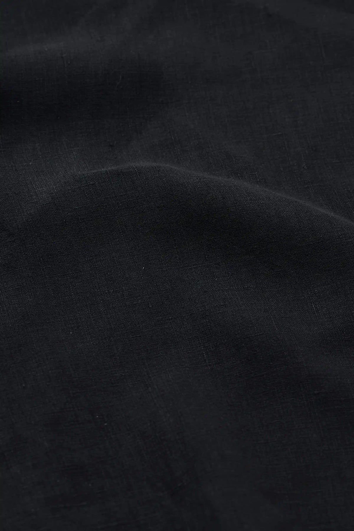 Linen Pleated Pants in Black