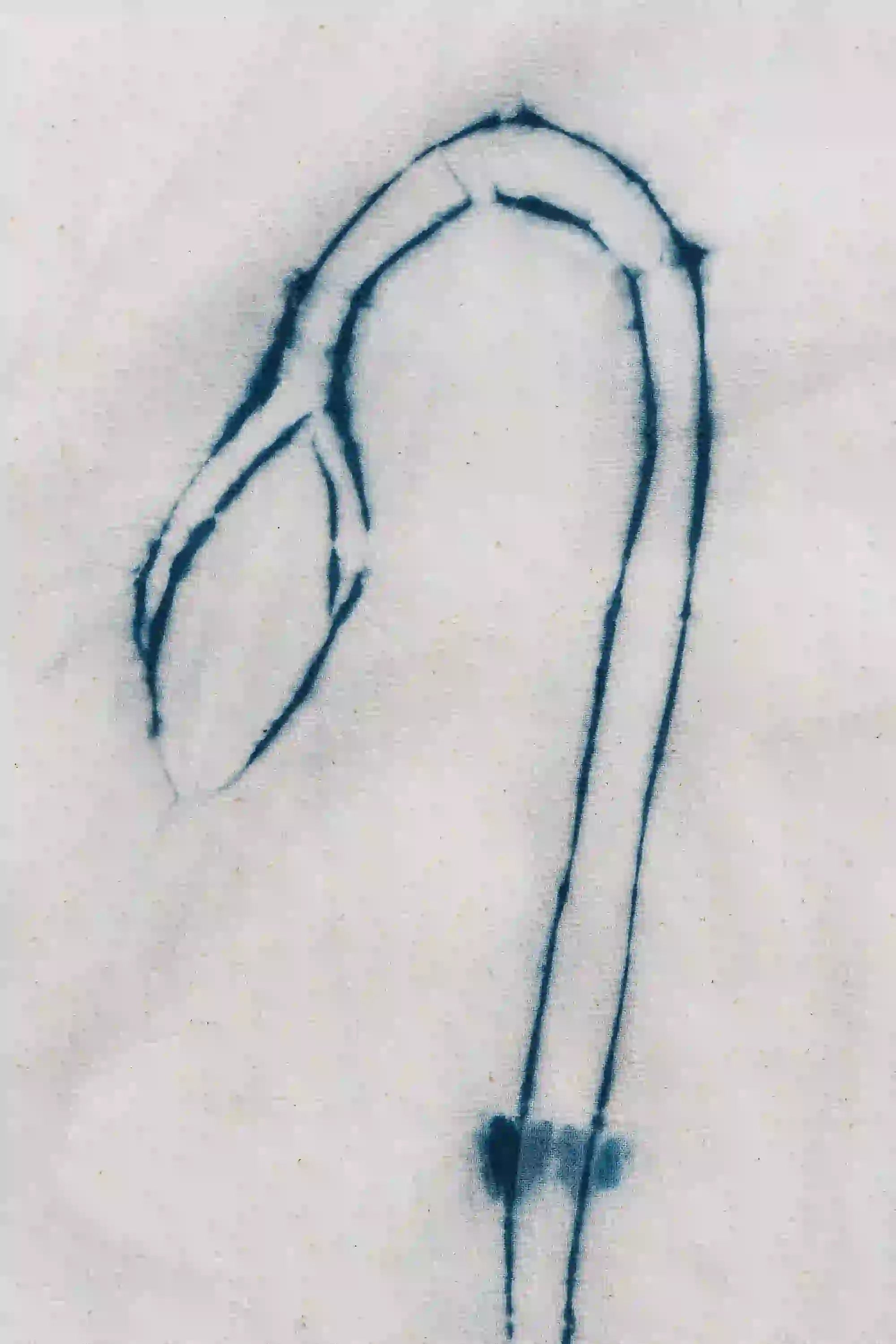 Indigo shibori of a stylized flower on a ecru fabric